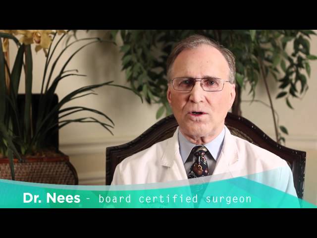 dr nees miami