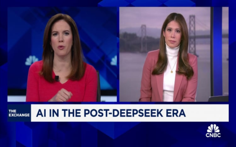 anthropic ceo on deepseek