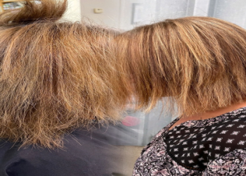 home brazilian blowout