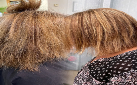 home brazilian blowout